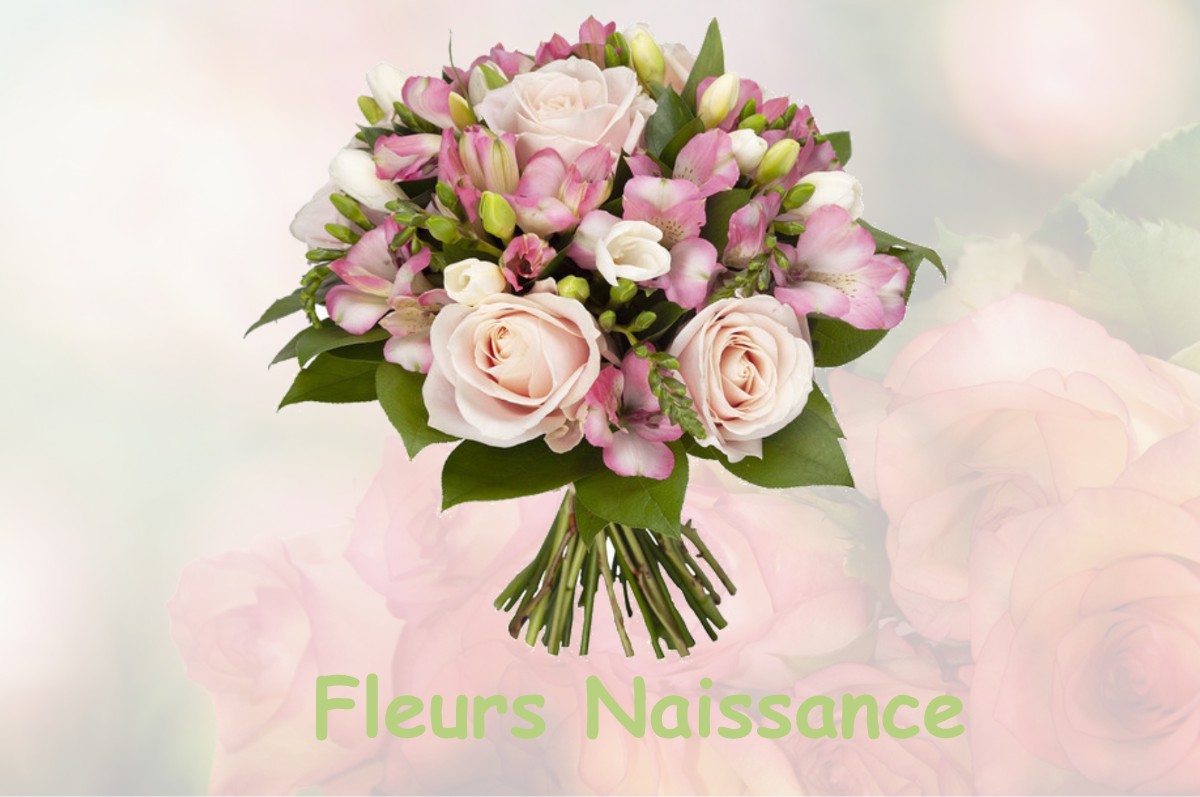 fleurs naissance SAINT-GEORGES-NIGREMONT